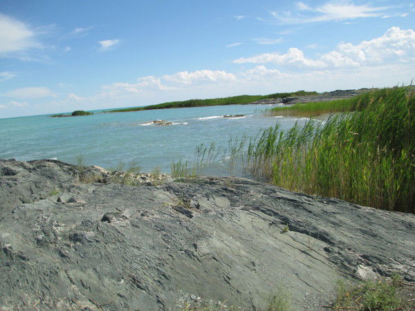 Жамал Телембетова