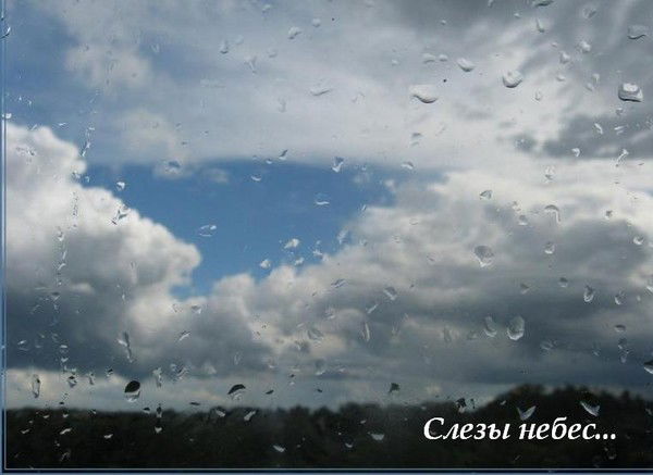 Вера Сергеевна