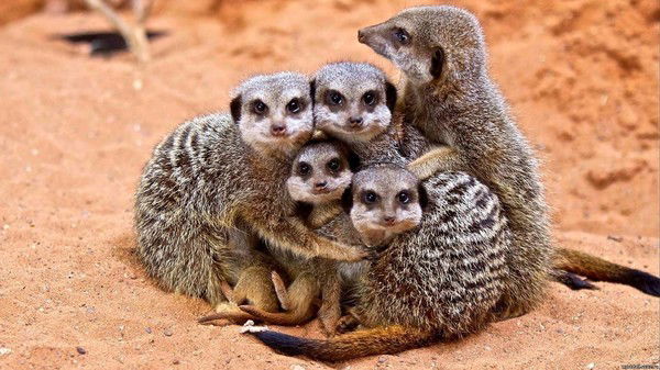 Артемий Суслов