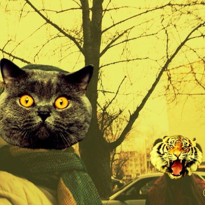 Юлия Викторова