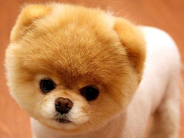 Диана Клеймёнова