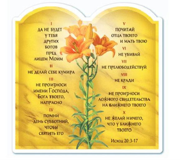 Михаил Шевченко