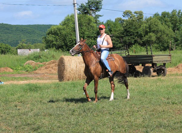 Денис Окулов