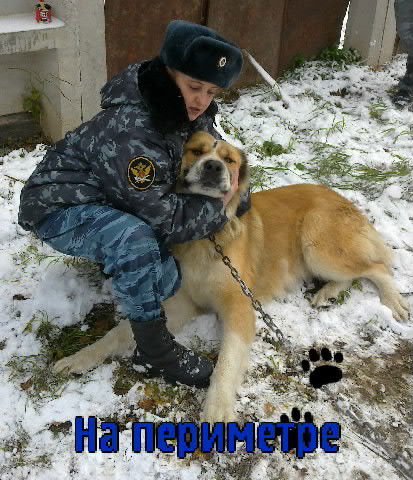 Светлана Доля