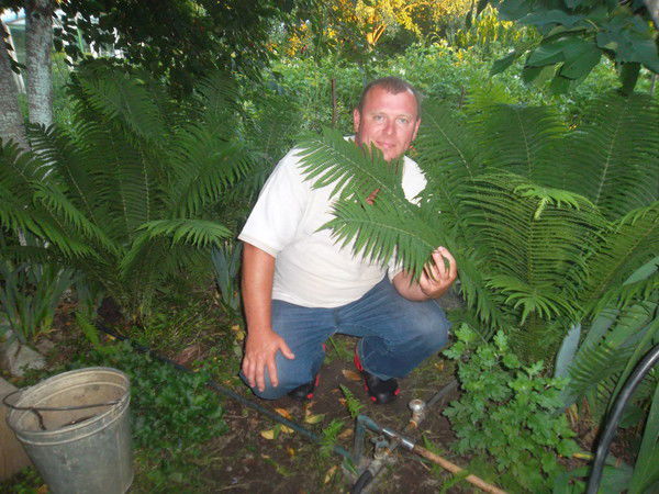 Павел Демьянович