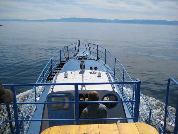 Влад Колонин