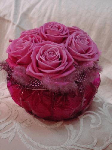 Алла Чупрова