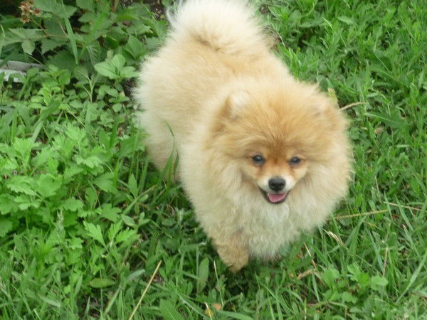 Наталья Нашатыркина