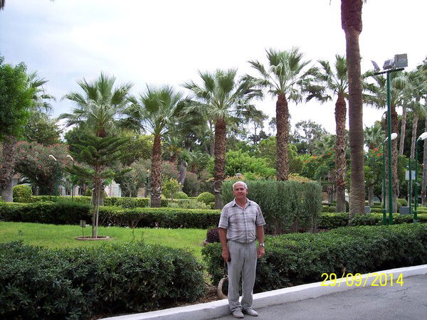 Василий Стрелов