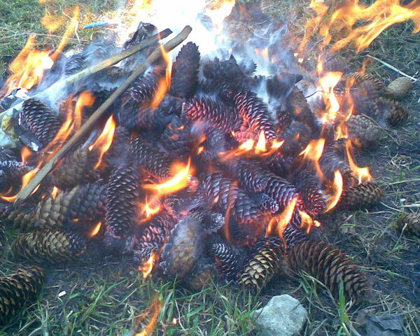 Елена Иванова