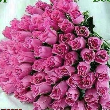 Биби Барменова