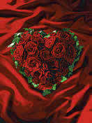 Евгения Ромашкина