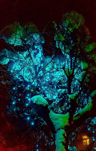 Андрей Рассказов