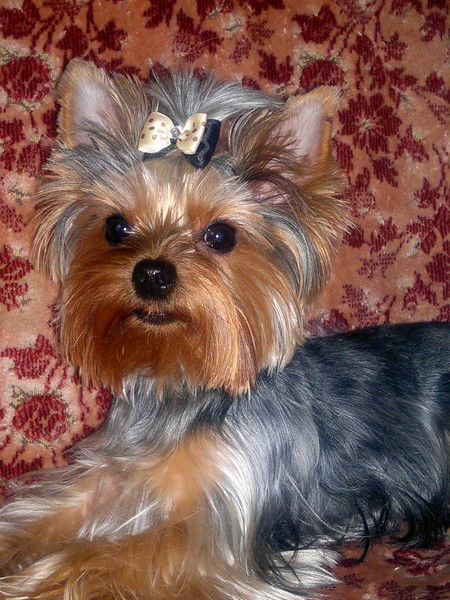 Анастасия Киселева