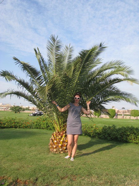 Елена Богомолова