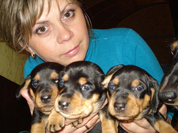 Лариса Никифоренко