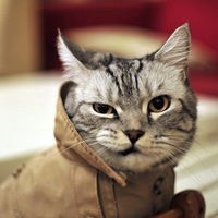 Максим Пилипенко