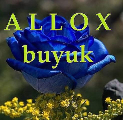 Баходур Каримов