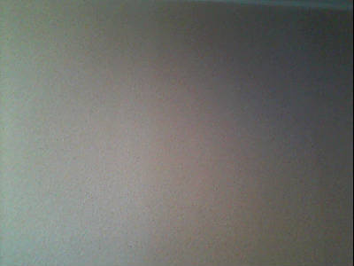 Елена Цветкова