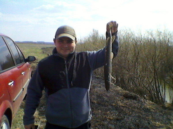 Гриша Григорьев