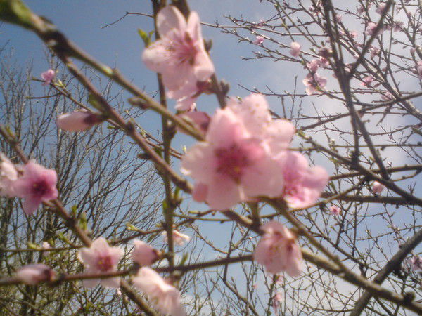 Наталья Козыро