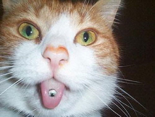 Яна Nimfa Грановская