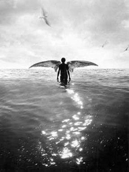 Лариса Савчук