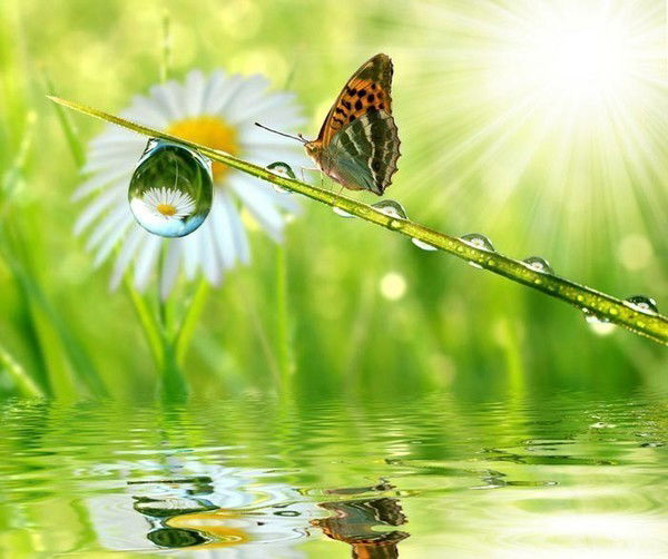 Социальный Работник Шгп № 6