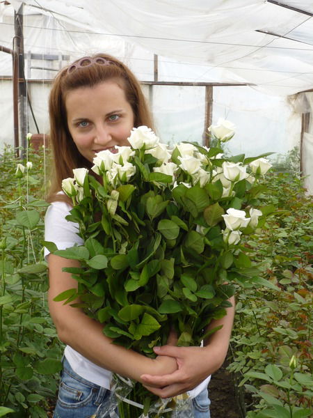 Ирина Самойлова