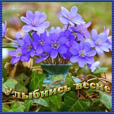 Валентина Жукова