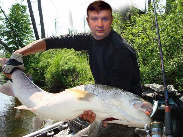 Дима Юхименко