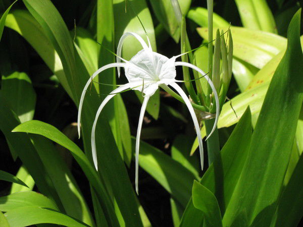 Виктор Юрьевич