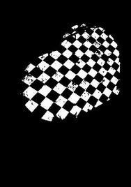 Дарья Щербакова