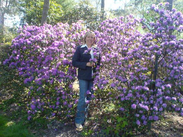 Надежда Голедзиновска