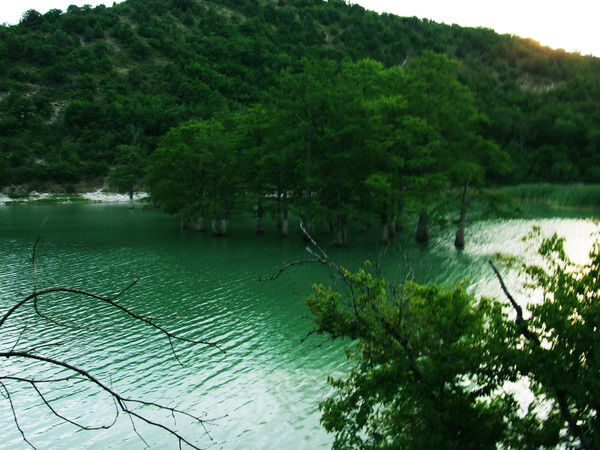 Максим Данилов