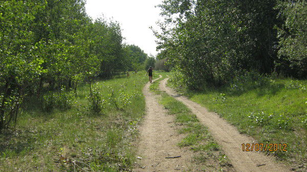 Алексей Анатольевич