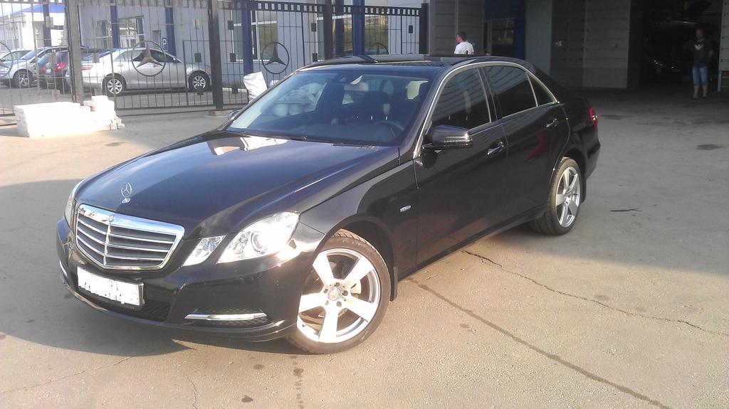 Александр Прегримов