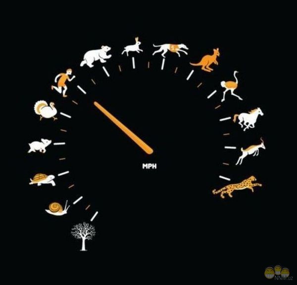 Денис Руднев