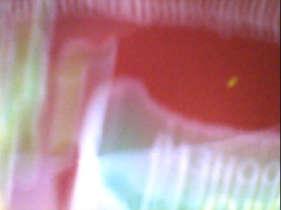 Николай Филь