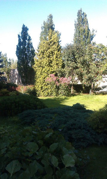 Иван Черепахин