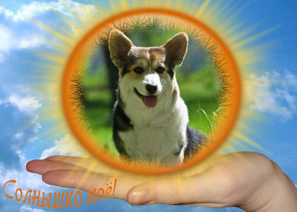 Юлия Смирнова