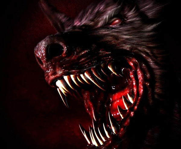 Евгений Джус