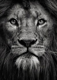 Нурбол Бакытов