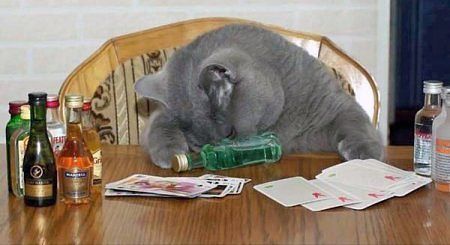 Антон Беляев