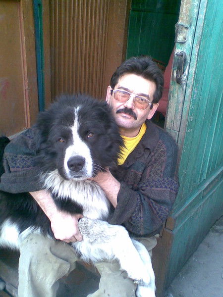 370609954 Половинкин