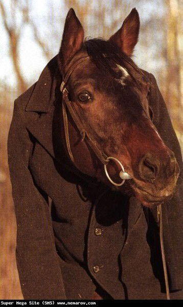 Сергей Жирнов