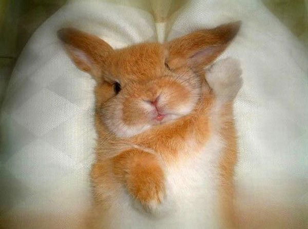 Антон Чикаев