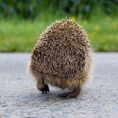 Ольга Абраменко