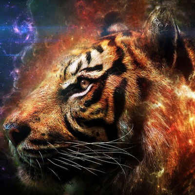 Руслан Федотов