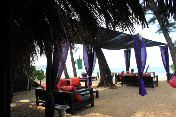 Анеля Тайкенова